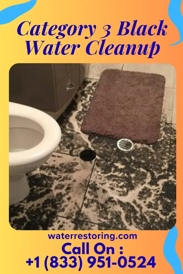 Category 3 Black Water Cleanup in Andrews, IN