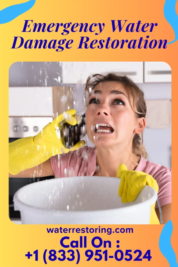 Emergency Water Damage Restoration in Andrews, IN