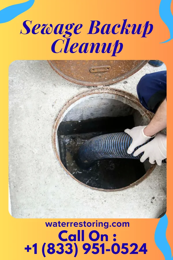 Sewage Backup Cleanup in Andrews, IN